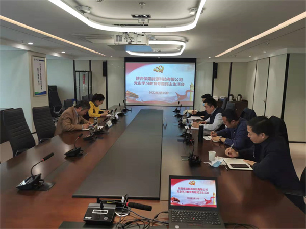 陜西保隆能源科技有限公司召開(kāi)黨史學(xué)習(xí)專(zhuān)題民主生活會(huì).jpg