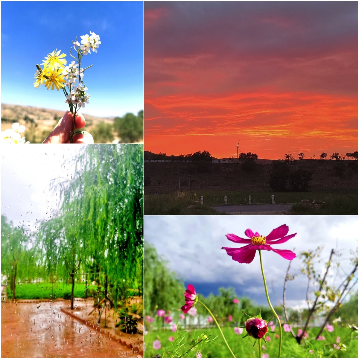 1723511239330256Je3C.jpg 我與這座山的故事.jpg